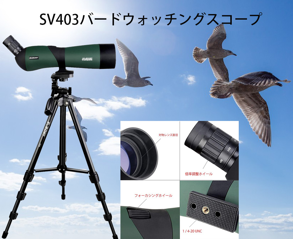 野鳥観察におすすめフィールドスコープSV9403 | SVBONY光学製品ブランド