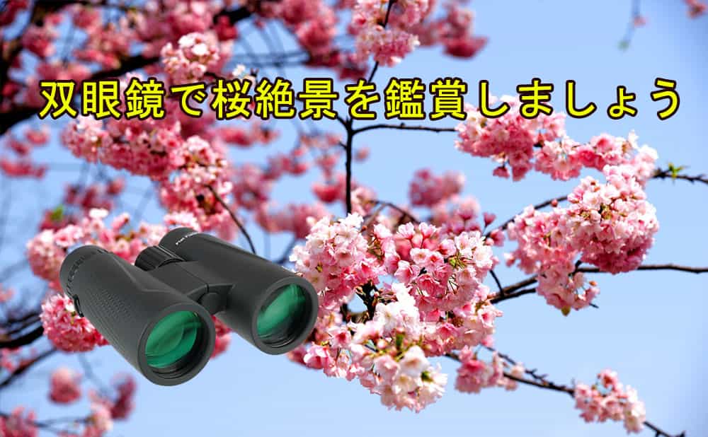 双眼鏡で桜絶景を鑑賞しましょう
