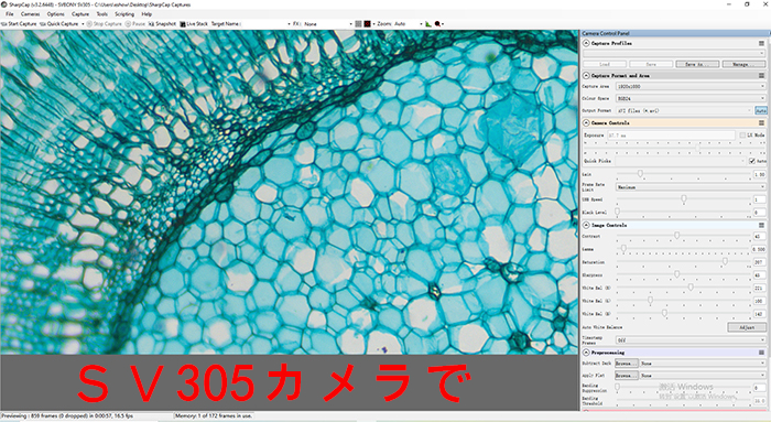 顕微鏡でsv 105 Sv 305 Cmosカメラテストの比較 Svbony フィールドスコープ 双眼鏡 単眼鏡 天体望遠鏡 子供用望遠鏡